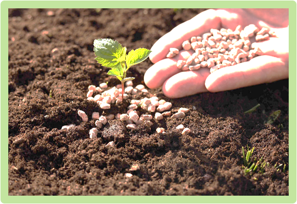Agroquimicos