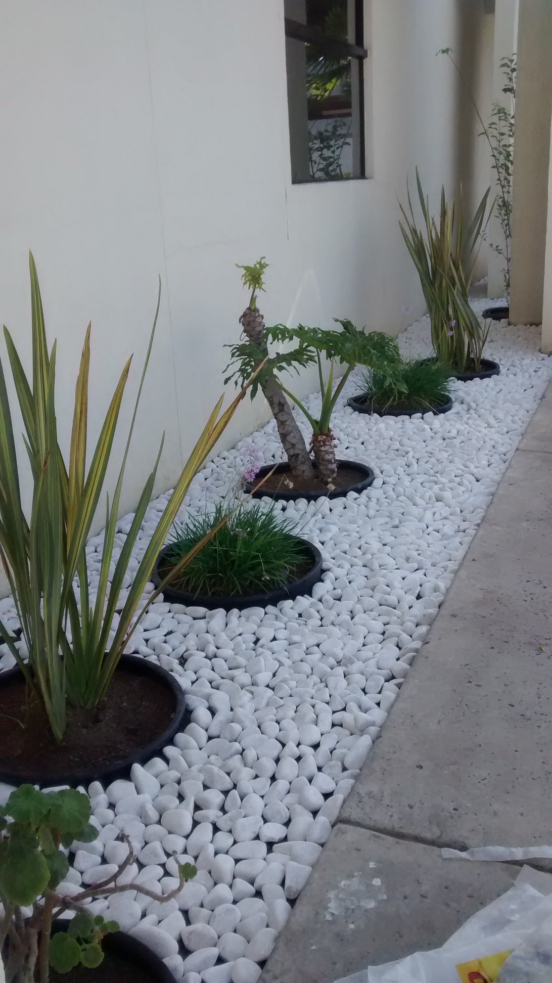 Decoracion de jardines en tijuana