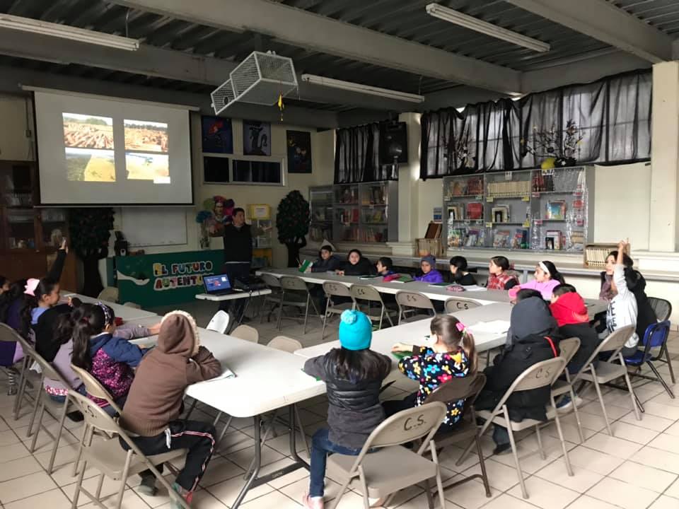 Escuela de jardineria